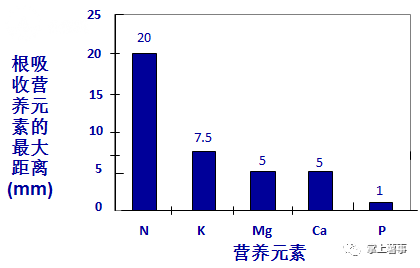 不同护色剂的护色原理及对产品品质的影响